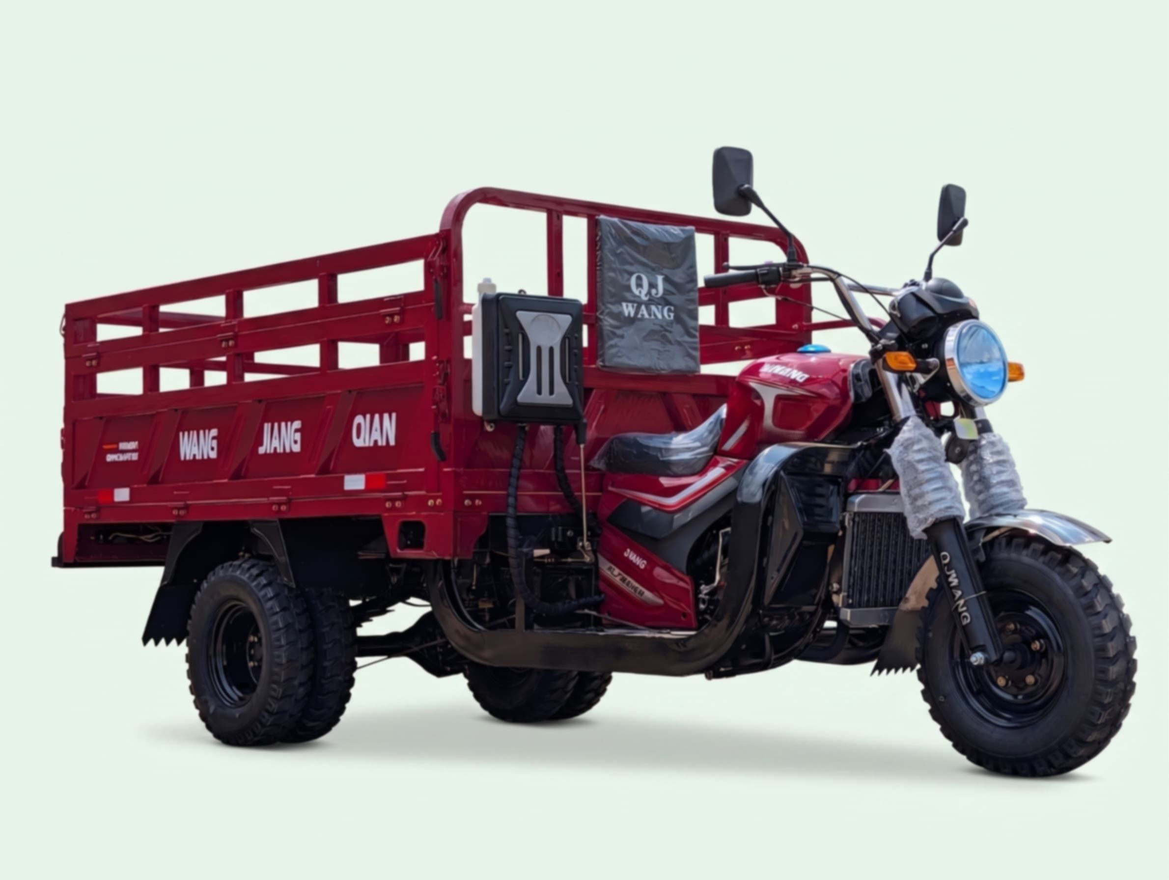 QJ WANG 300 (Radiator Water-Cooled) photo 2